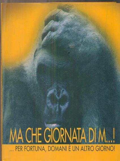 Ma che giornata di m...! - copertina