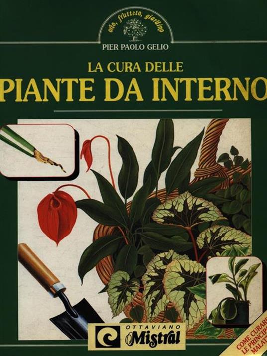 La cura delle piante da interno - Pier Paolo Gelio - 4