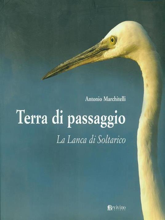 Terra di passaggio. La lanca di Soltarico. Ediz. illustrata - Antonio Marchitelli - copertina