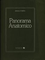 Panorama anatomico