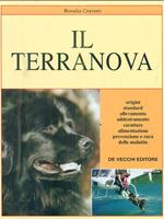 Il terranova