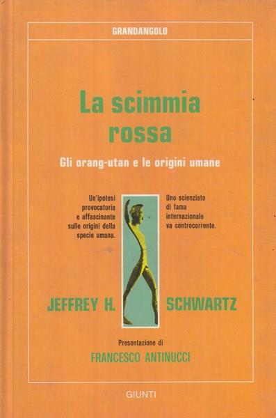 La scimmia rossa - 2