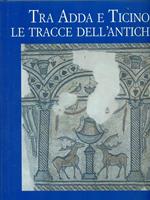 Tra Adda e Ticino Le tracce dell'antichità