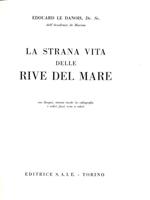 La strana vita delle rive del mare