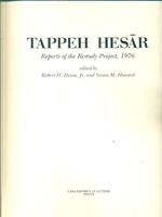 Tappeh Hesar. Reports of the Restudy Project, 1976