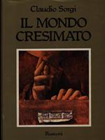 Il Il mondo cresimato