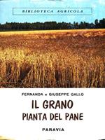 Il grano pianta del pane