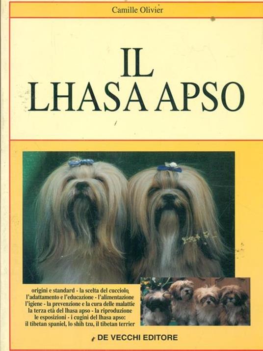 Il  lhasa apso - Camille Olivier - 3