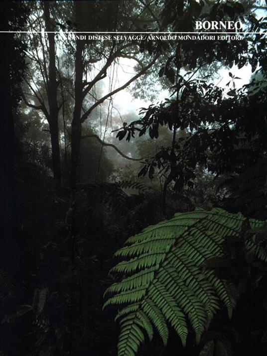 Borneo - John Mackinnon - copertina