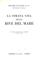 La strana vita delle rive del mare