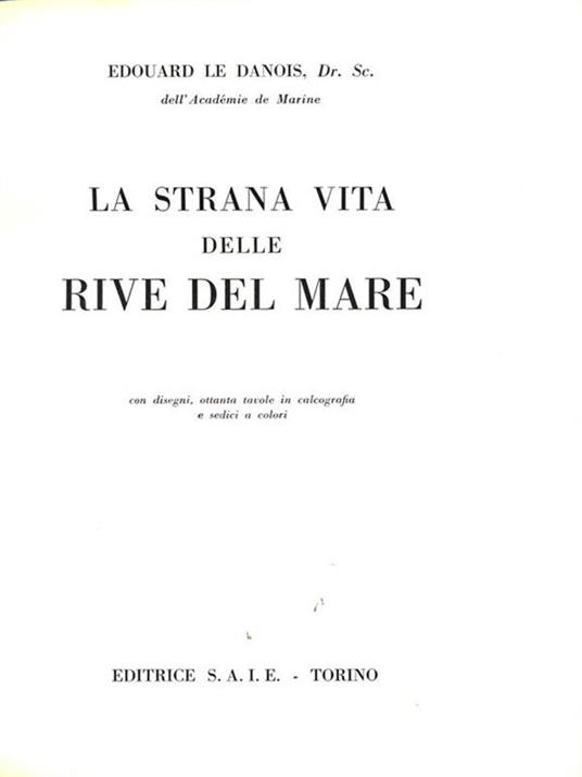 La strana vita delle rive del mare - Édouard Le Danois - copertina