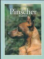 Il pinscher nano