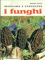 Impariamo a conoscere i funghi