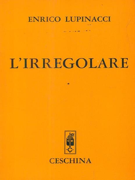 L' irregolare - copertina