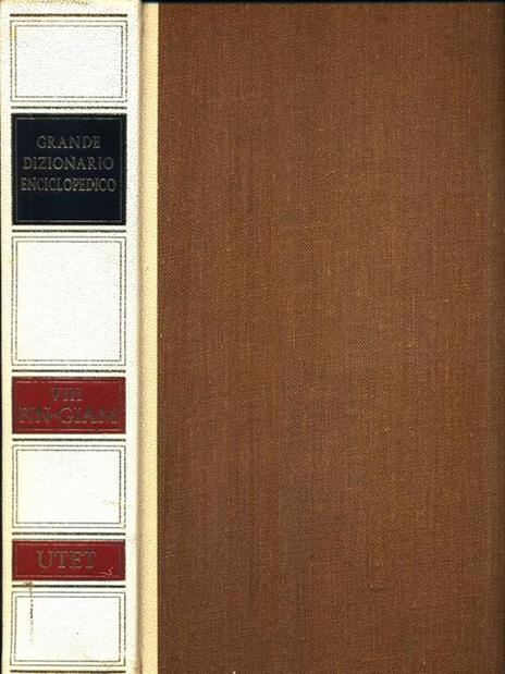 Grande Dizionario Enciclopedico VIII FIN-GIAM - Pietro Fedele - copertina