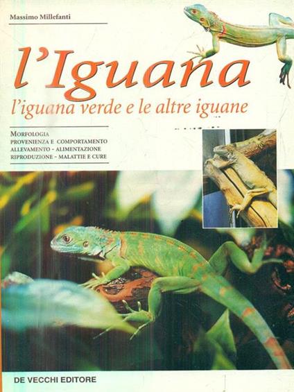 L' iguana. L'iguana verde e le altre iguane - Massimo Millefanti - copertina