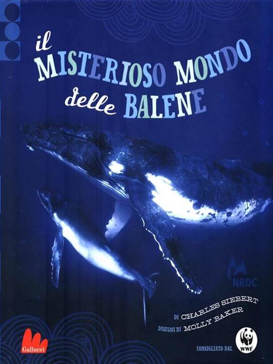 Il misterioso mondo delle balene - Charles Siebert - copertina