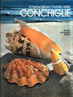 Il meraviglioso mondo delle Conchiglie