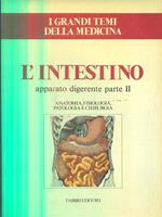 L' intestino. Apparato digerente. Parte II