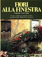 Fiori alla finestra