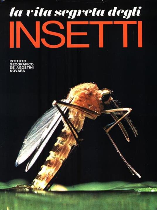 La vita segreta degli Insetti - copertina