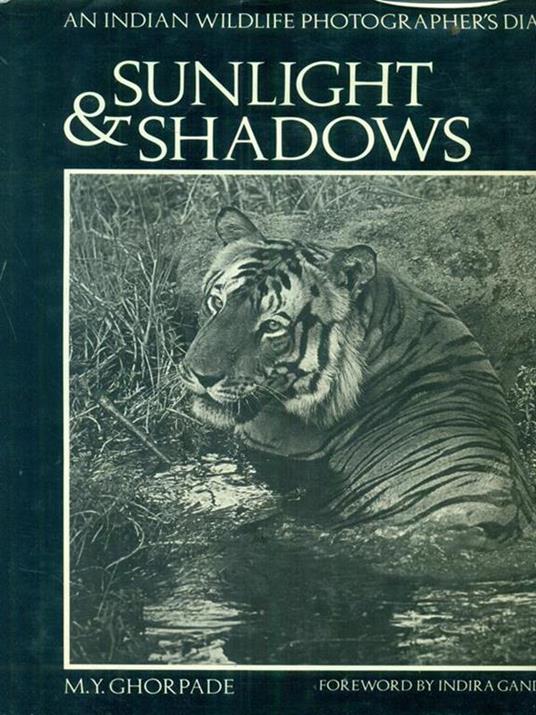 Sunlight & Shadows - M. Y. Ghorpade - copertina