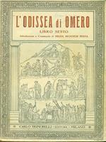 L' Odissea di Omero libro sesto