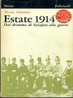 Estate 1914. Dal dramma di Sarajevo alla guerra