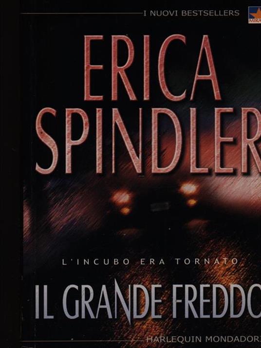 Il grande freddo - Erica Spindler - copertina