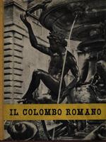 Il colombo romano