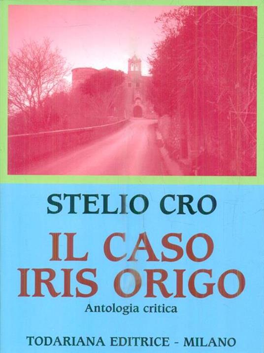 Il caso Iris Origo - Stelio Cro - copertina