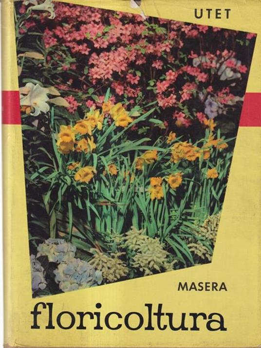 Floricoltura - Onorato Masera - 2