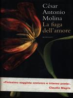 La fuga dell'amore