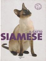 Il gatto siamese. Ediz. illustrata