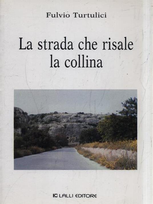 La strada che risale la collina - Fulvio Turtulici - 2