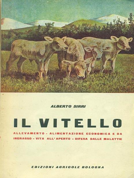 Il  vitello - Alberto Sirri - 2