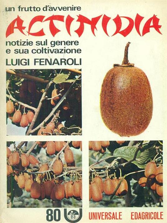 Actinidia - Luigi Fenaroli - copertina