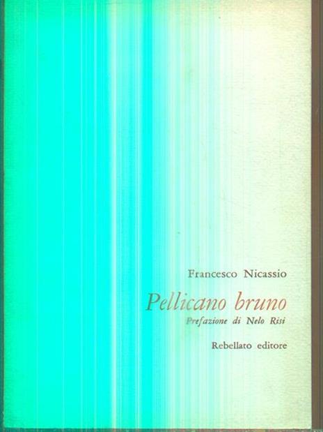 Pellicano bruno - Francesco Nicassio - 2