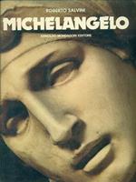 Michelangelo