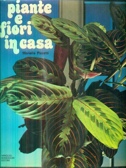 Piante e fiori della casa - Ippolito Pizzetti - copertina