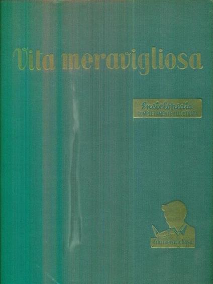 Vita Meravigliosa. vol 2 - copertina