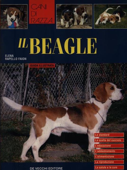 Il Beagle - Elena Rapello Faion - copertina