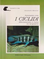 Iniziamo con i ciclidi