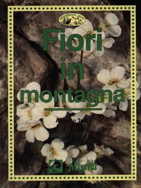 Fiori in montagna - Alfredo Testi - 2