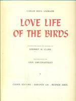 Love life of the birds