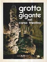   Grotta gigante nel carso triestino