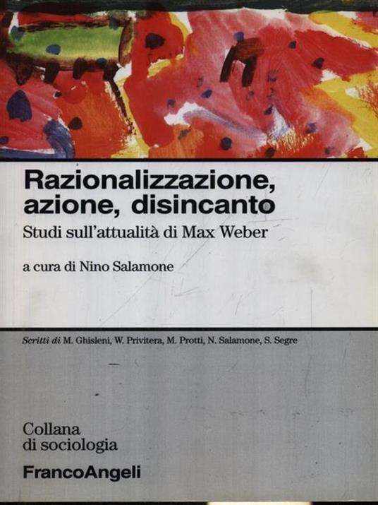   Razionalizzazione azione disincanto - Nino Salamone - copertina