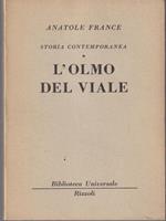 L' olmo del viale