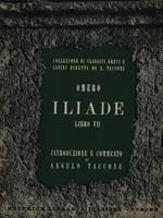 Iliade libro VII