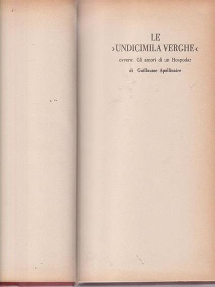 Le undicimila verghe - Guillaume Apollinaire - copertina